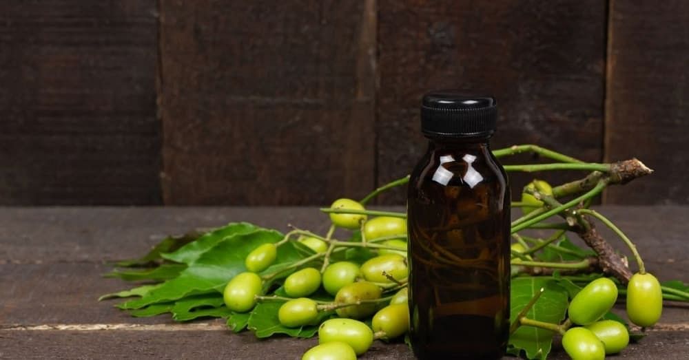 Neem Oil for Skin Benefits Uses FAQs PRO Tips Bodywise